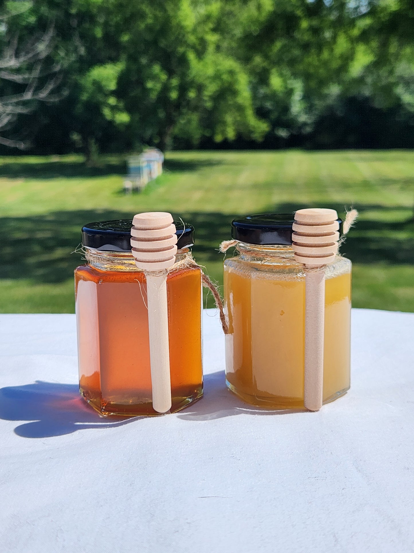 5oz Honey with Wooden Dipper